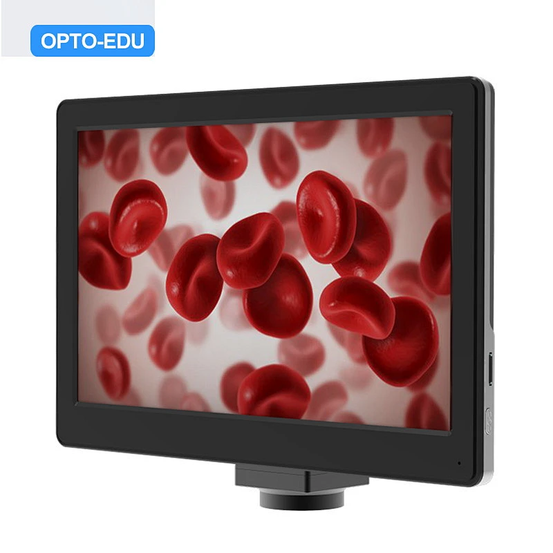 Cámara Digital LCD de 9