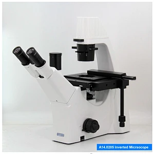 Microscope à contraste de phase biologique inversé-DIC
