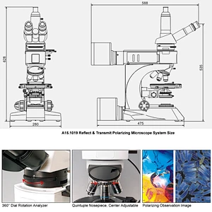 Microscopio polarizzatore, luce riflessa