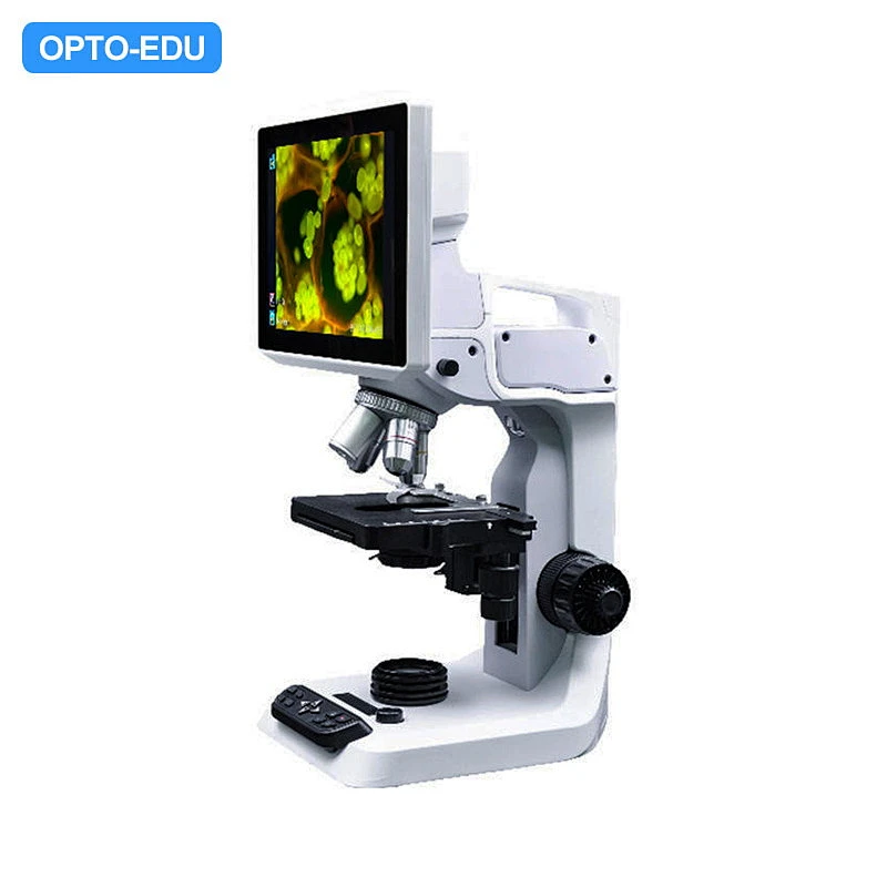 Digitales 10,1-Zoll-LCD-Fluoreszenzmikroskop, Ethernet-Version, 5,0 m