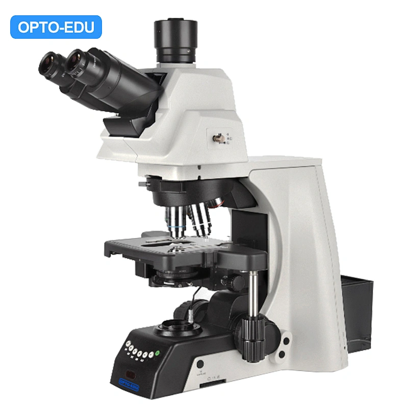 Microscopio da laboratorio per la ricerca scientifica, semiautomatico, alogeno 12V100W