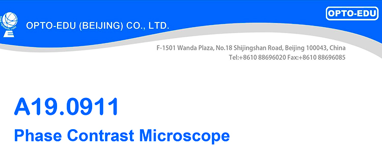 A19.0911 Phase Contrast Microscope A19.0911 Phase Contrast Microscope