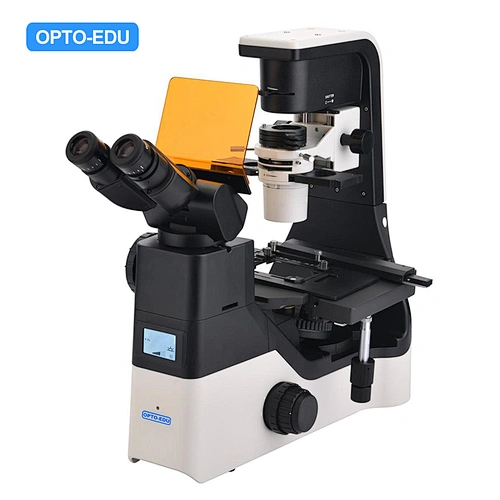 Inverteret LED fluorescerende mikroskop, B,G,U, Info LCD