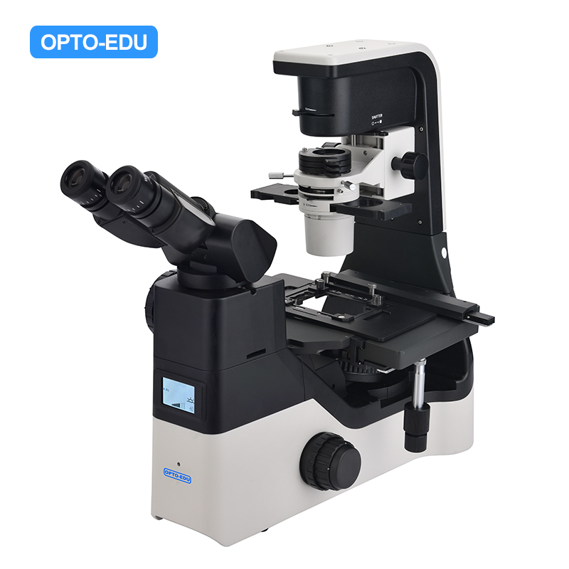 Opto-Edu A14.1065 Inverted Biological Phase Contrast Microscope