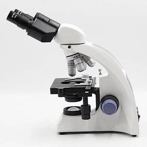 Microscópio Biológico, Binóculo