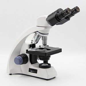 Microscópio Biológico, Binóculo