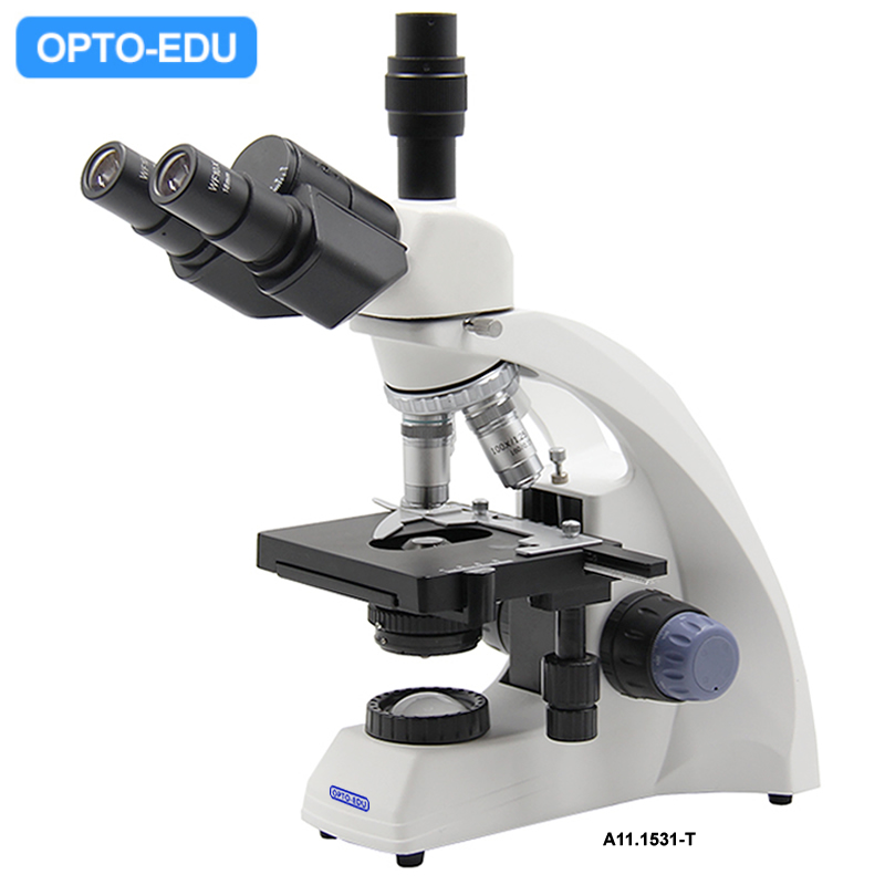 Microscópio Biológico, Cabeça Trinocular