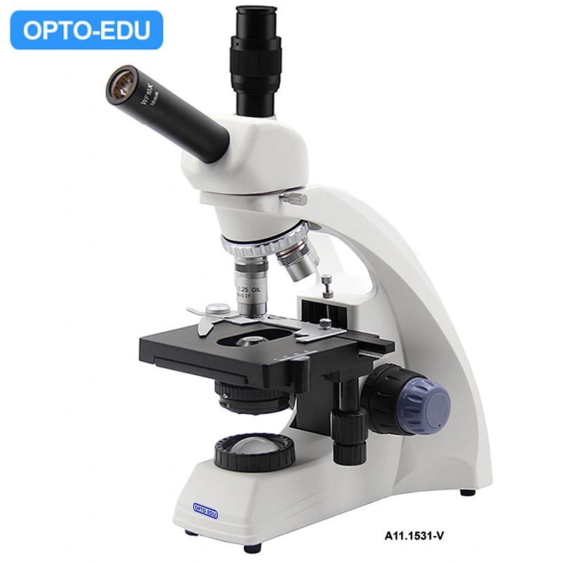 Microscópio Biológico, Chefe de Ensino