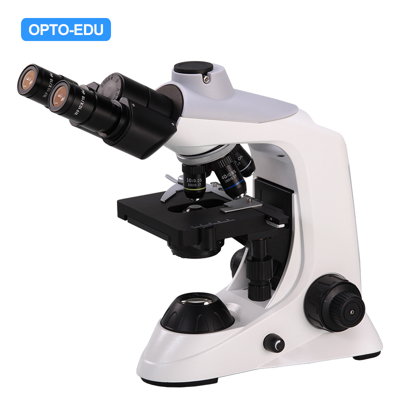 Microscope Biologique, Trinoculaire, Plan