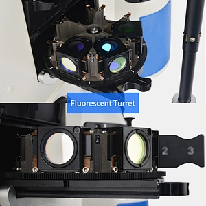 Microscópio fluorescente invertido, LCD Touch Screen Semi-APO, BF/PL/PH/FL, LCD Touch Screen