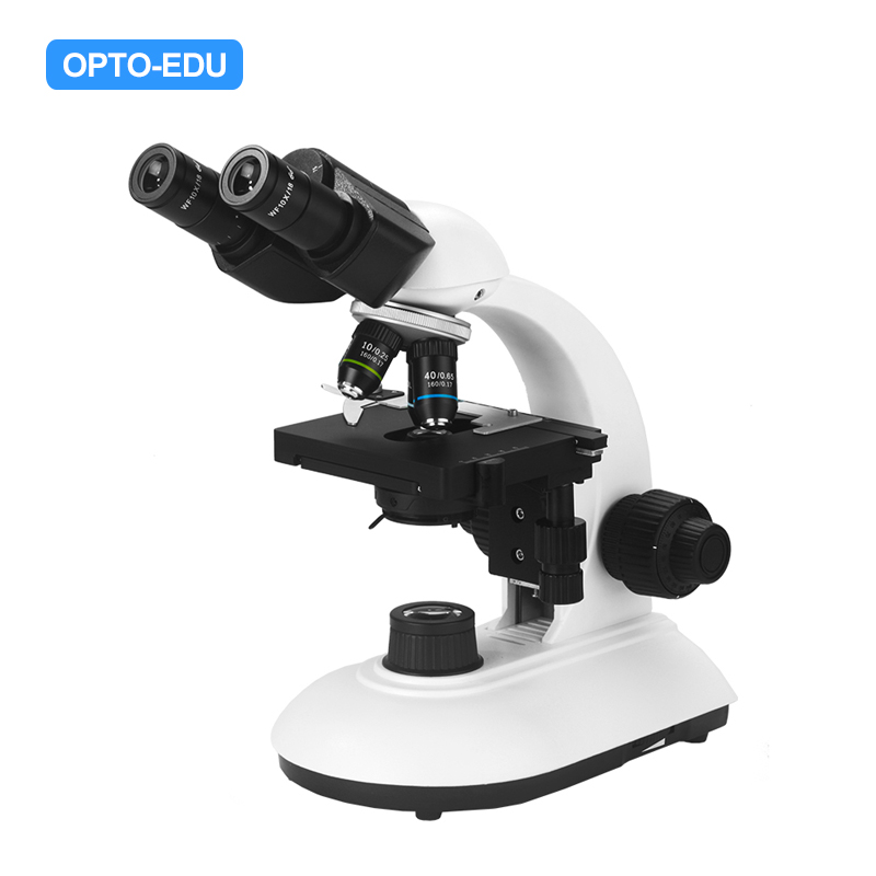 Studentisches biologisches Mikroskop, Plan, Fernglas