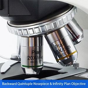 Biologisk Laboratoriemikroskop, Trinokulært, Infinity Plan