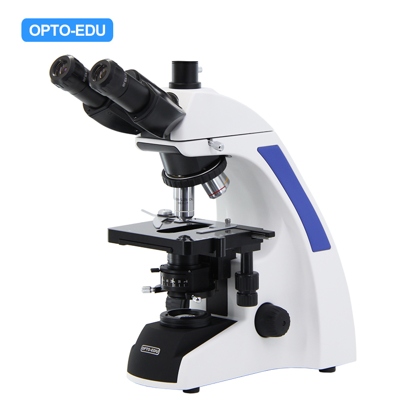 Laboratory Microscope, Trinocular, Achromatic HC, Working Stage 143*132mm