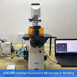 Microscópio fluorescente invertido, LCD Touch Screen Semi-APO, BF/PL/PH/FL, LCD Touch Screen
