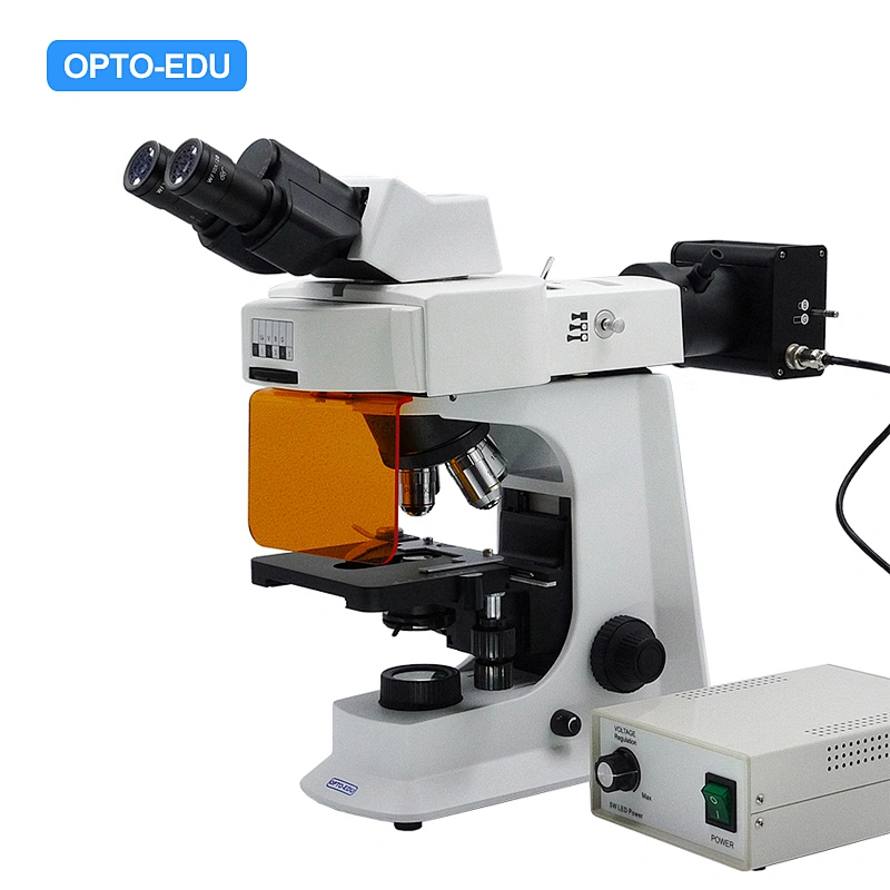 LED-fluorescerande mikroskop, kikare, B,G,U,UV