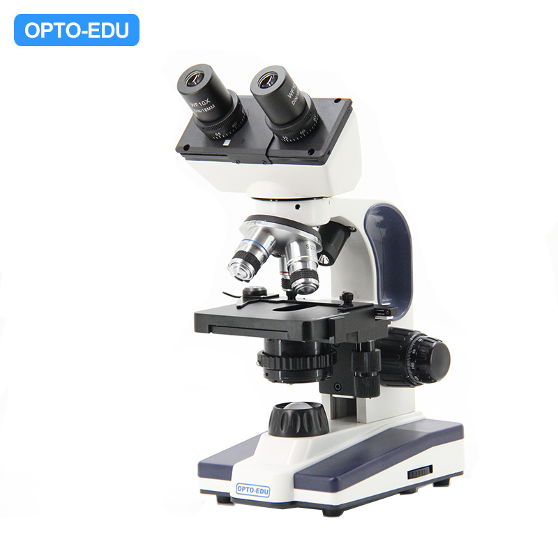 Biological Microscope, Binocular Head
