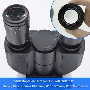 Microscopio polarizzatore, trasmissione, binoculare
