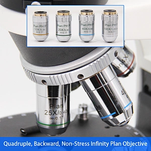 Microscopio polarizzatore, trasmissione, binoculare