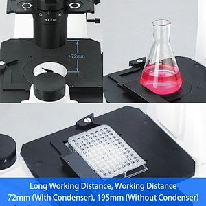 Inverted Biological Phase Contrast Microscope, Transmit Light, ECO