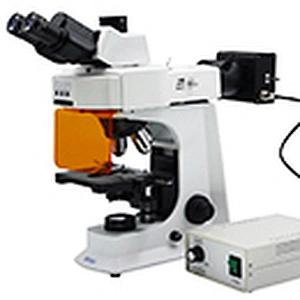 Microscope fluorescent à LED, trinoculaire, B, G