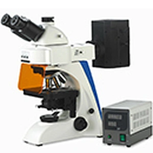 Microscopio fluorescente, semi-APO, trinoculare, B/G