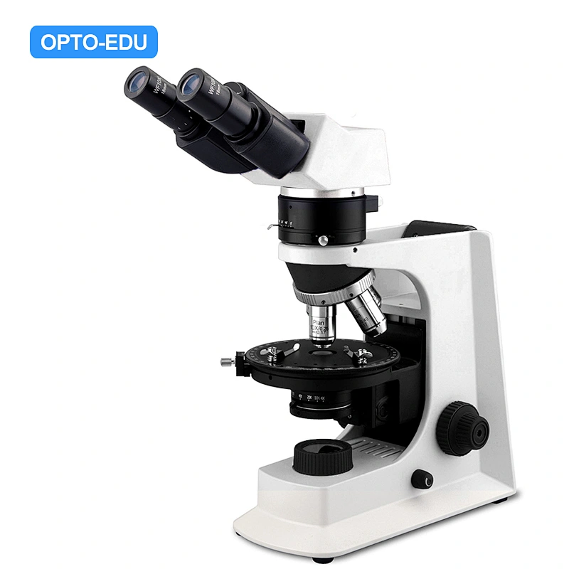 Microscopio polarizzatore, trasmissione, binoculare