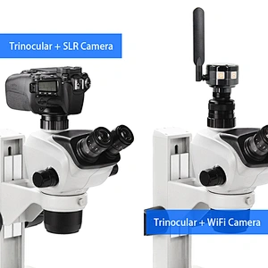 Zoom Stereo Microscope, 0.65~5.3x, 1:8.1, Trinocular, No Light