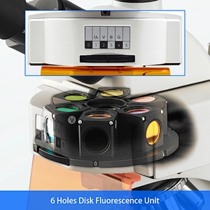 LED Fluorescerende Microscoop, Semi-APO, Trinoculair, B/G