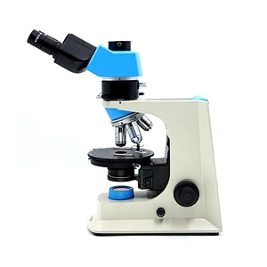 Microscopio polarizzatore, trasmissione, binoculare