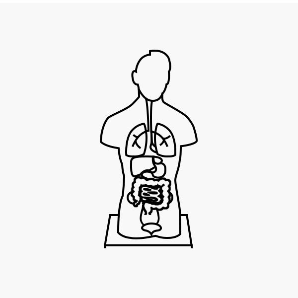 E3A Torso & Extremitäten