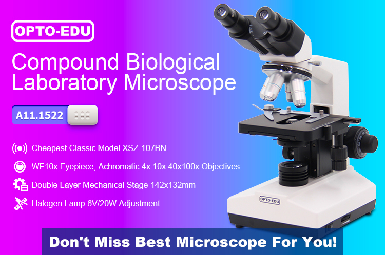 Бiological Microscope xsz-107bn
