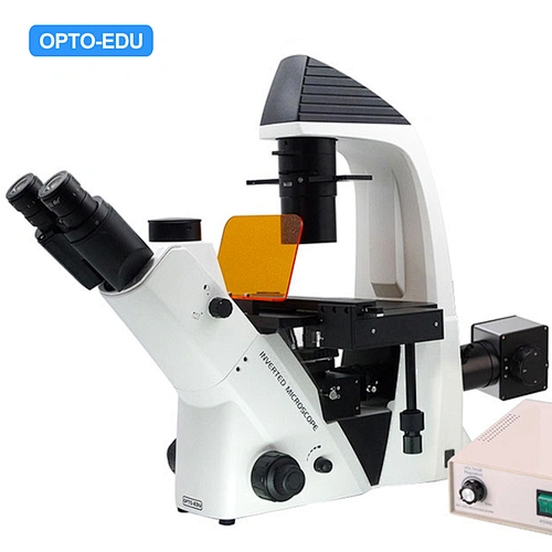 Invertert LED-fluorescerende mikroskop, trinokulært, B/G/U/UV