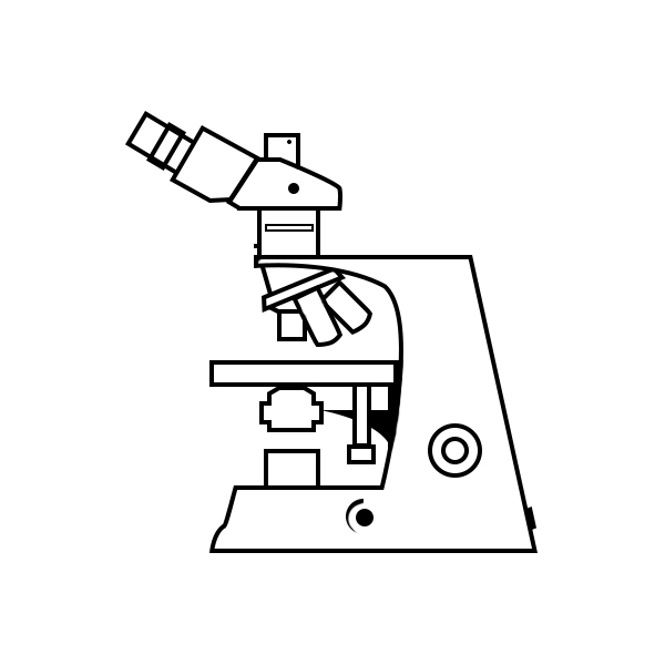 A15 Polarisation