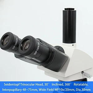 Mikroskop Laboratorium, Teropong, Rencana Infinity