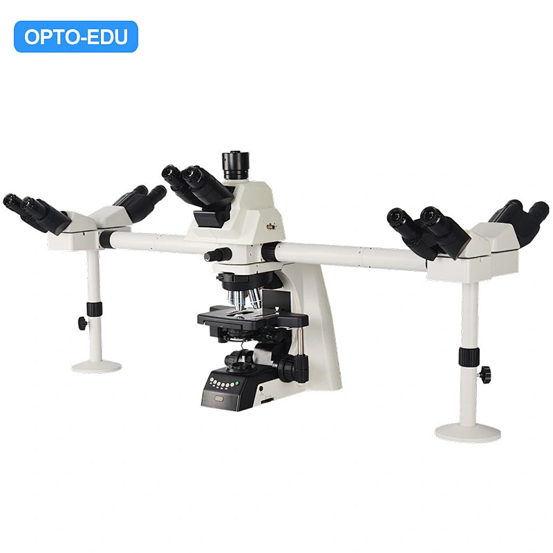 Çoklu Görüntüleme Araştırma Laboratuvarı Mikroskobu, Yarı Otomatik, 5 Kafa