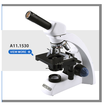 A11.1326_10.jpg