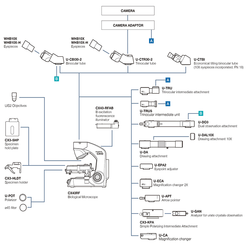 OPTO-EDU A12.0738 オリンパス 生物顕微鏡 CX33