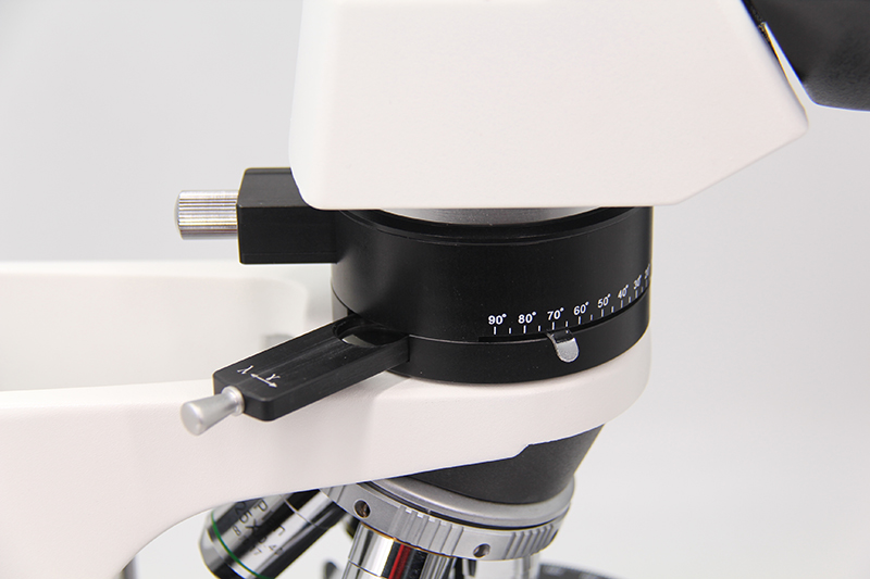 A12.2601_M12.jpg