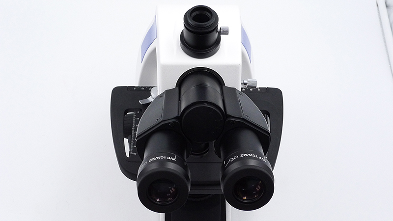 A12.1502_M07.jpg