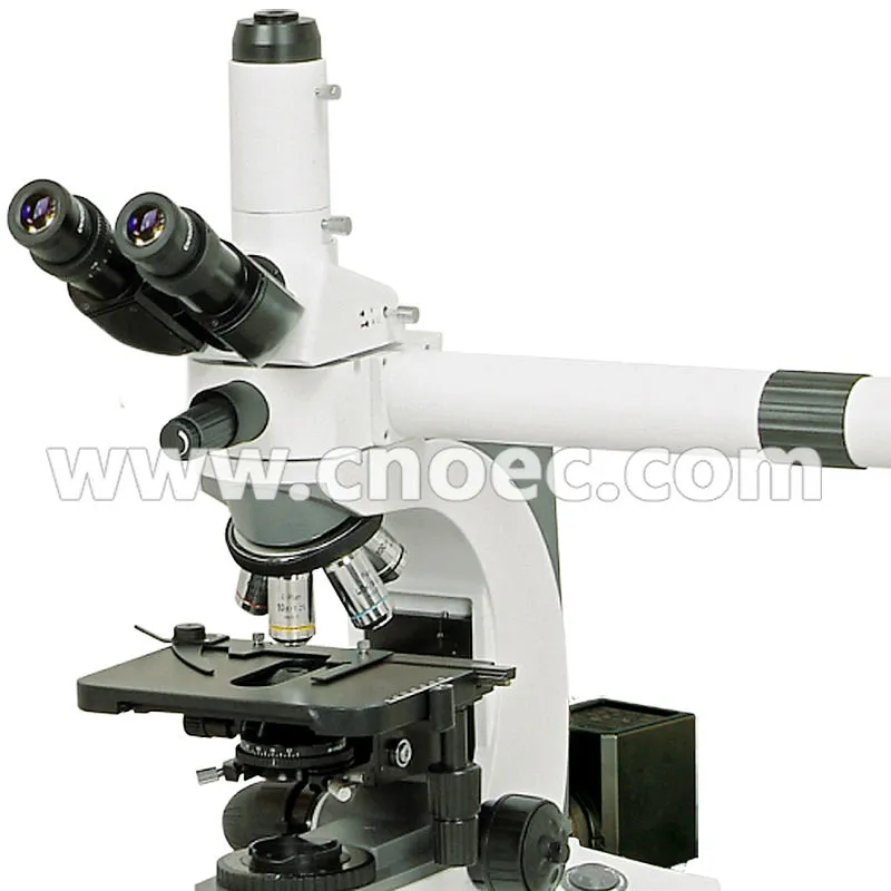 A17.1026-A N-204_L02_logo.jpg