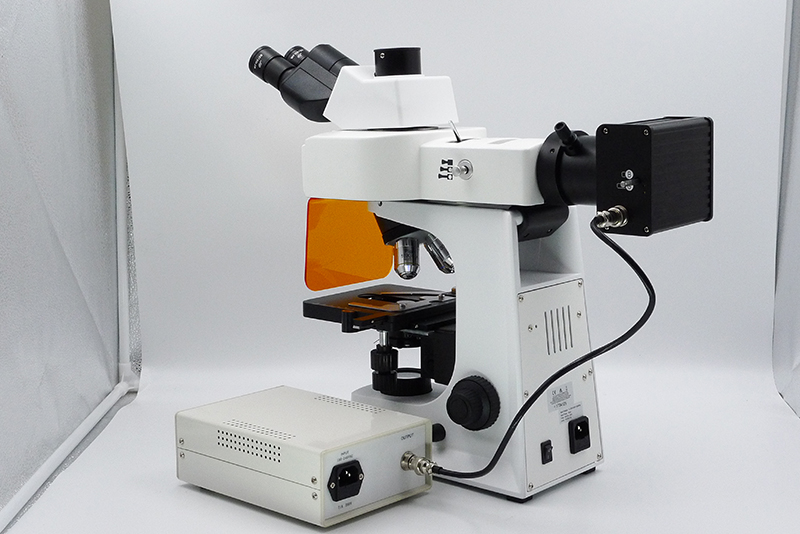 A16.2601-L_M04.jpg