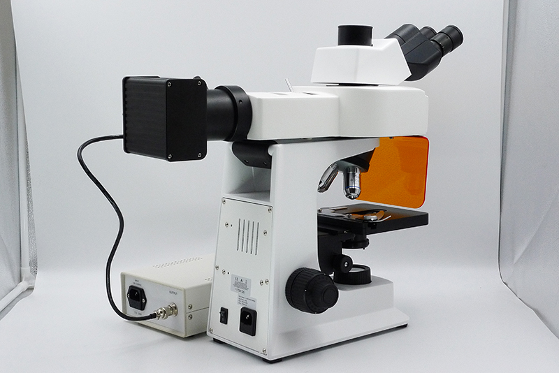 A16.2601-L_M06.jpg