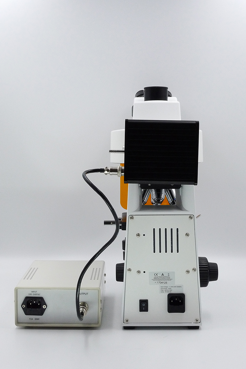 A16.2601-L_M05.jpg