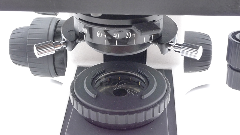 A12.1502_M05.jpg