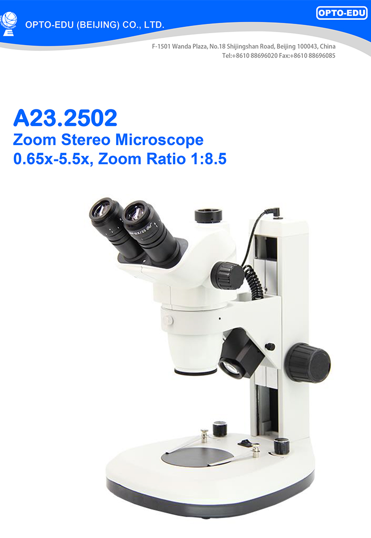 Zoom Stereo Microscope