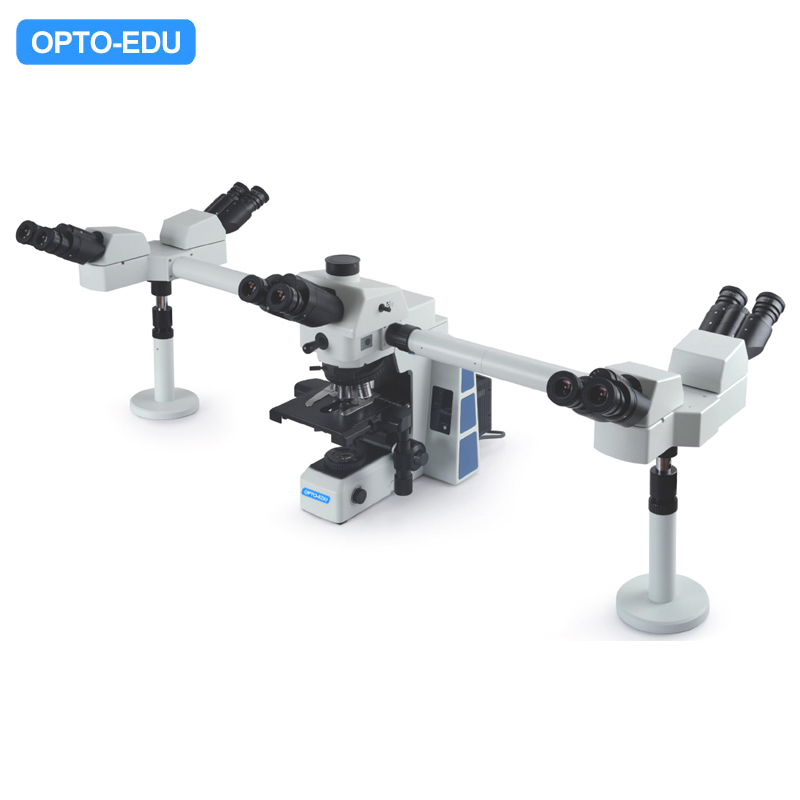 Microscopio multivista, 5 persone
