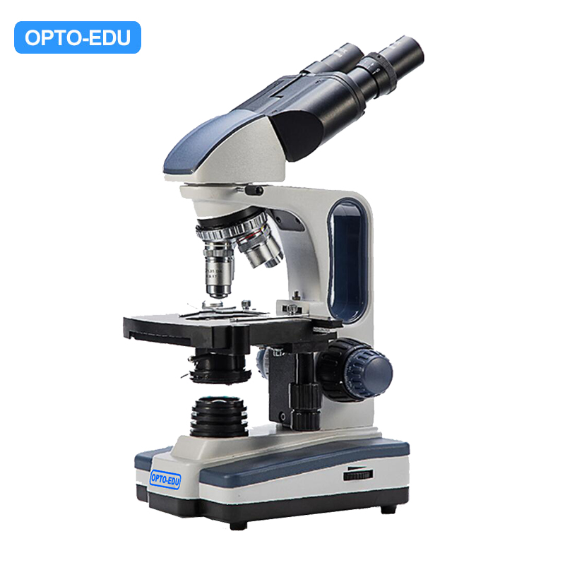 Microscopio biológico para estudiantes, binocular