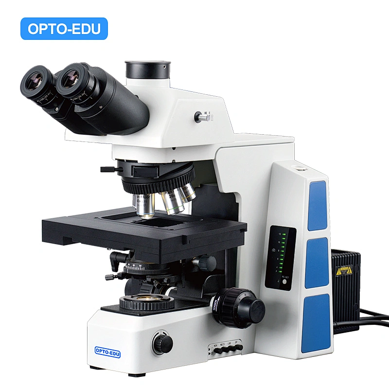 Microscópio Biológico Motorizado, BF, Motorizado XYZ