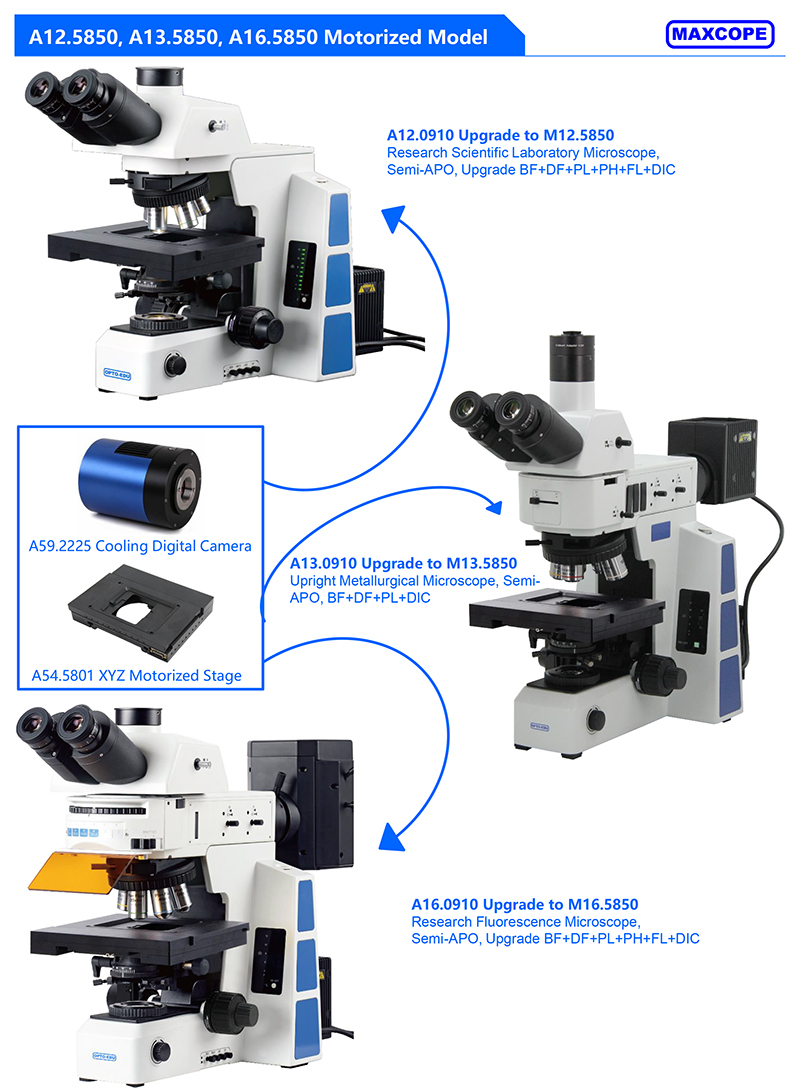 Motorized Biological Microscope, BF, XYZ Motorized