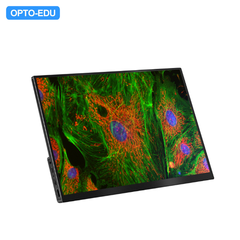 Monitor LCD HDMI de 13,3